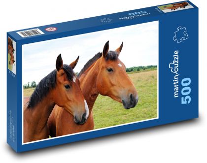 konie - brązowe konie - Puzzle 500 elementów, rozmiar 46x30 cm