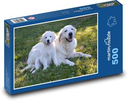 Zlatý Retriever - štěně, pes - Puzzle 500 dílků, rozměr 46x30 cm