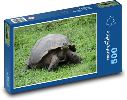 Galapázská želva - plaz, zvíře - Puzzle 500 dílků, rozměr 46x30 cm