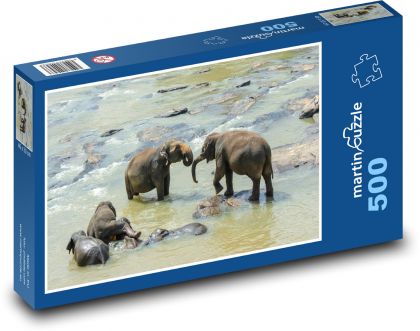 Sloni - Srí Lanka, zvíře - Puzzle 500 dílků, rozměr 46x30 cm