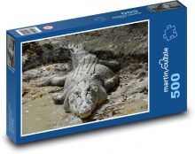 Krokodíl - mäsožravec, plaz Puzzle 500 dielikov - 46 x 30 cm 