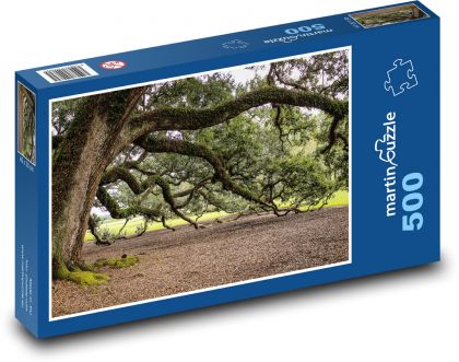 Virginia - live oak tree branches - Puzzle of 500 pieces, size 46x30 cm 