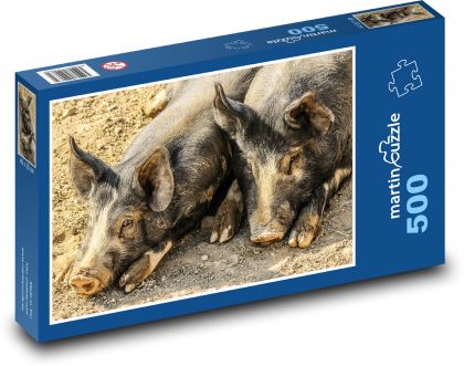 Schweine - Ferkel, Nutztiere - Puzzle - 500 Teile