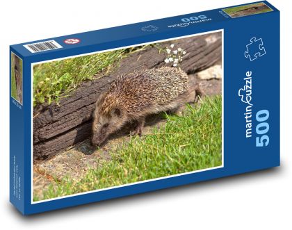 Jeż - zwierzę, ogród - Puzzle 500 elementów, rozmiar 46x30 cm
