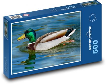 Krzyżówka - kaczka, zwierzę wodne - Puzzle 500 elementów, rozmiar 46x30 cm