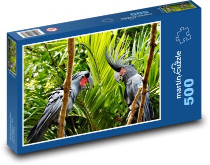 Cockatoos - birds, animals - Puzzle of 500 pieces, size 46x30 cm 