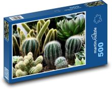 Kakteen - Zimmerpflanzen, Blumen Puzzle 500 Teile - 46 x 30 cm