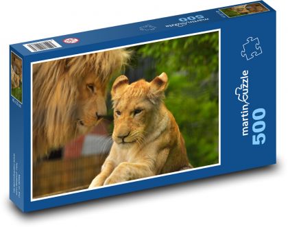 Lvice - lev, velká kočka - Puzzle 500 dílků, rozměr 46x30 cm