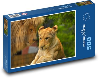 Lioness - lioness, big cat - Puzzle of 500 pieces, size 46x30 cm 