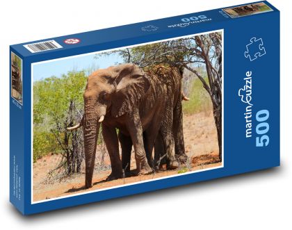 Słoń afrykański - zwierzę, ssak - Puzzle 500 elementów, rozmiar 46x30 cm