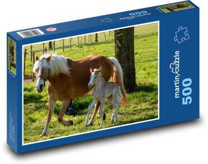 Kobyla - hříbě, kůň - puzzle 500 dílků