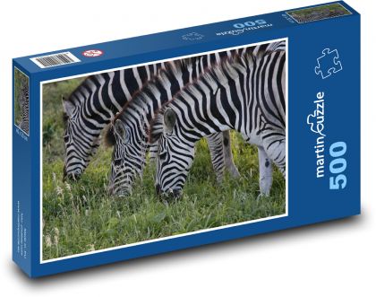 Zebra - zvíře, savec - Puzzle 500 dílků, rozměr 46x30 cm