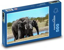 Elefanten - Afrikanischer Elefant, Tier Puzzle 500 Teile - 46 x 30 cm