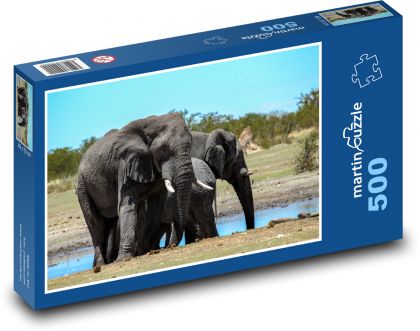 Sloni - slon africký, zvíře - Puzzle 500 dílků, rozměr 46x30 cm