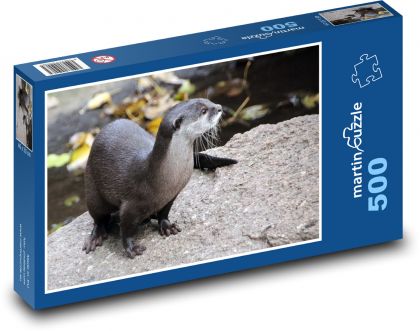 Otter - Tier, Säugetier - Puzzle - 500 Teile