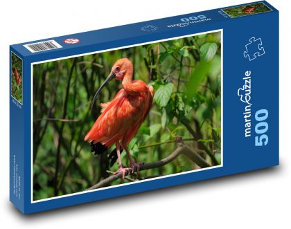 Ibis - vták, divoké zviera - Puzzle 500 dielikov, rozmer 46x30 cm 