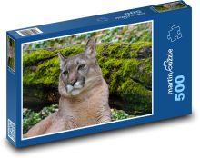 Puma - dravec, zoo Puzzle 500 - 46x30 cm