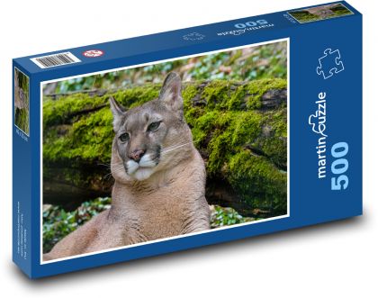 Puma - predator, zoo - Puzzle of 500 pieces, size 46x30 cm 
