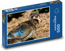 Kachna - pták, zvíře Puzzle 500 - 46x30 cm