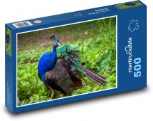 Páv - pták, zvíře Puzzle 500 - 46x30 cm