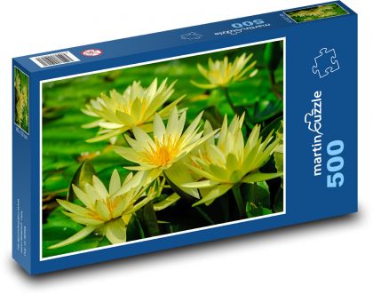 Yellow water lily - pond, water flower - Puzzle of 500 pieces, size 46x30 cm 