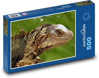 Leguan - Eidechse, Florida - Puzzle - 500 Teile