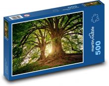 Stromy - sluneční světlo, příroda Puzzle 500 dílků - 46 x 30 cm