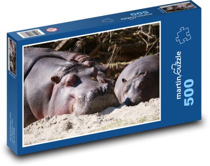 Hroch - zviera, cicavec - Puzzle 500 dielikov, rozmer 46x30 cm 