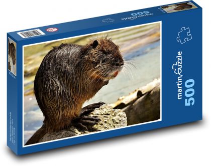 Nutrie - zvíře, vodní krysa - Puzzle 500 dílků, rozměr 46x30 cm
