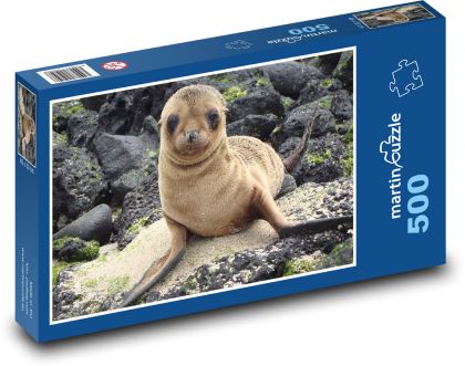 Sea lion - Galapagos, cub - Puzzle of 500 pieces, size 46x30 cm 