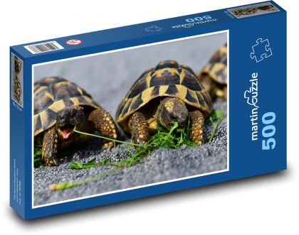 Turtles - reptile, animal - Puzzle of 500 pieces, size 46x30 cm 