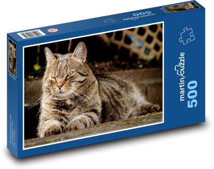 Kočka domácí  - mazlíček, zvíře - Puzzle 500 dílků, rozměr 46x30 cm