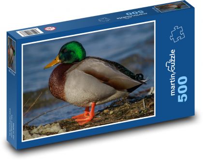Kačer - břeh jezera, vodní zvíře - Puzzle 500 dílků, rozměr 46x30 cm