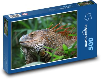 Leguán - plaz, Kostarika - puzzle 500 dílků