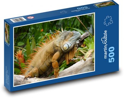 Lizard - reptile, iguana - Puzzle of 500 pieces, size 46x30 cm