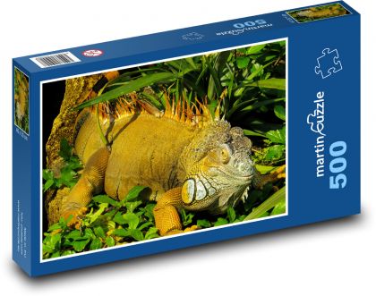 Iguana - gad, zwierzę - Puzzle 500 elementów, rozmiar 46x30 cm