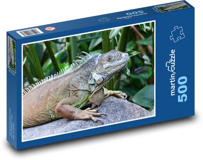 Leguán - plaz, zvíře, zoo - Puzzle 500 dílků, rozměr 46x30 cm