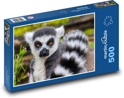 Lemur - Affe, Zoo - Puzzle - 500 Teile