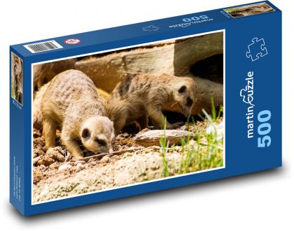 Erdmännchen - Tier, Afrika - Puzzle - 500 Teile