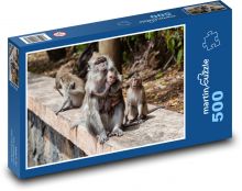 Makak - małpa, kuba Puzzle 500 elementów - 46x30 cm