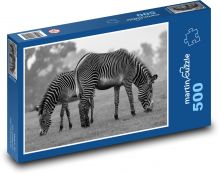 Zebra - zvíře, Afrika Puzzle 500 - 46x30 cm