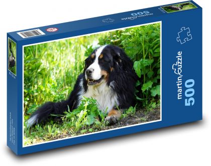Bernese Mountain Dog - female, animal - Puzzle of 500 pieces, size 46x30 cm 