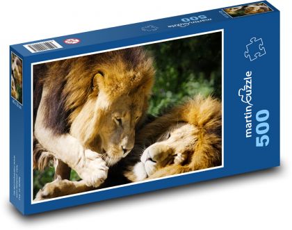Lev - dravec, velká kočka - puzzle 500 dílků
