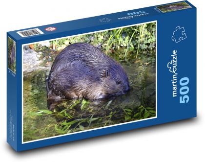 Biber - Wassertier, Nagetier - Puzzle - 500 Teile