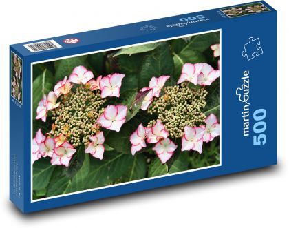 Hortenzie - květiny, zahrada - Puzzle 500 dílků, rozměr 46x30 cm