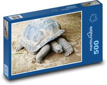 Obrie korytnačka - škrupina, plaz Puzzle 500 dielikov - 46 x 30 cm
