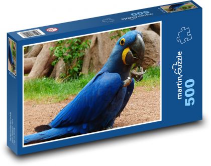 Modrý papoušek - hyacintový papoušek - Puzzle 500 dílků, rozměr 46x30 cm