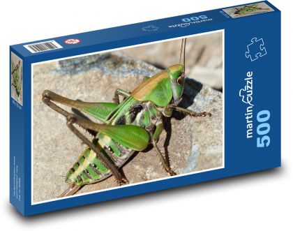 Saranče - zelená kobylka, hmyz - Puzzle 500 dílků, rozměr 46x30 cm