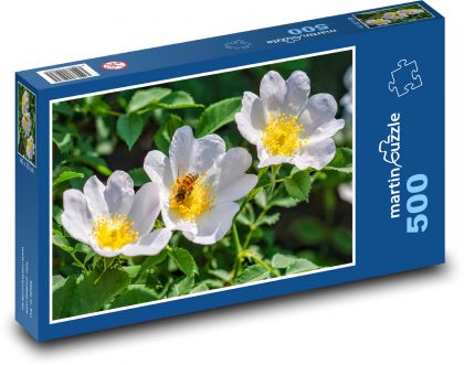 Šípek - bílý květ, včela - Puzzle 500 dílků, rozměr 46x30 cm