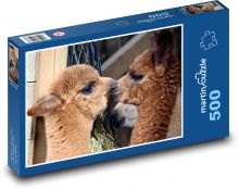 Alpaka - zvíře, savec Puzzle 500 - 46x30 cm